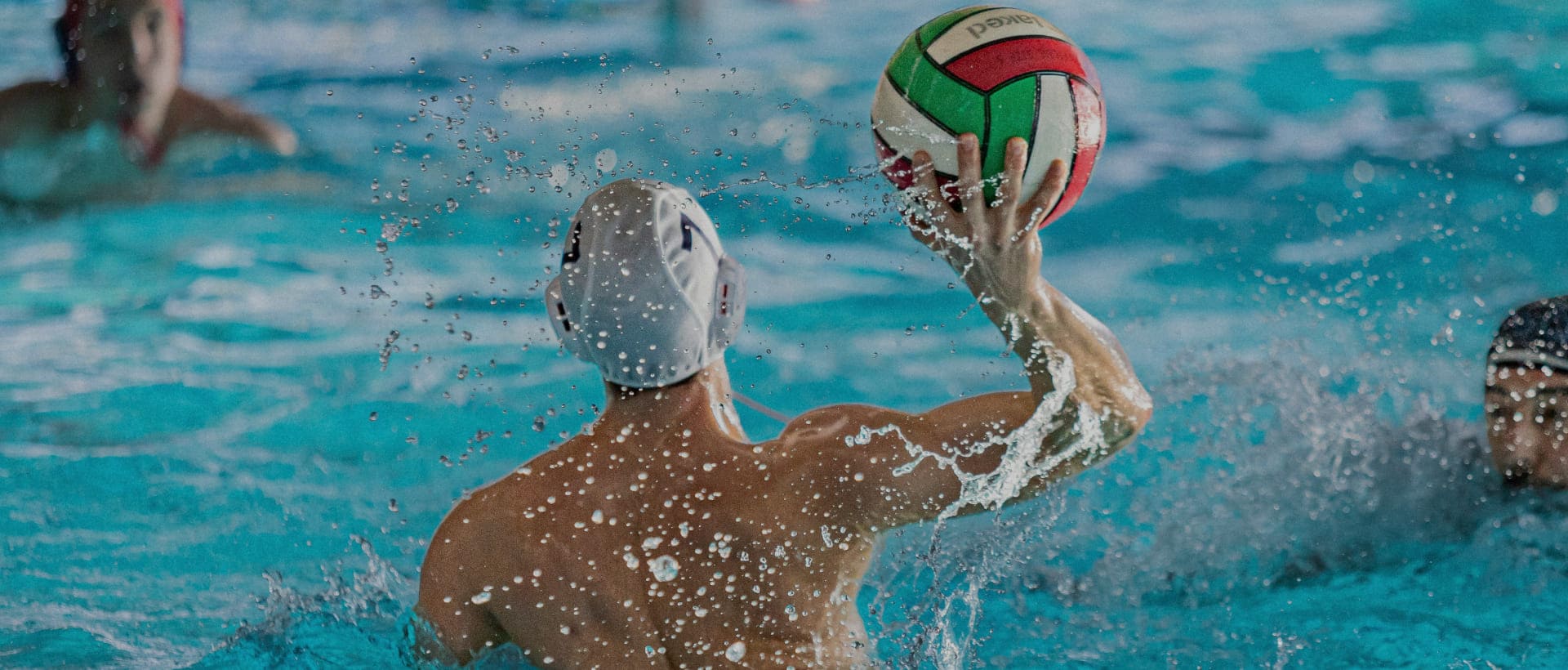 formacion header image