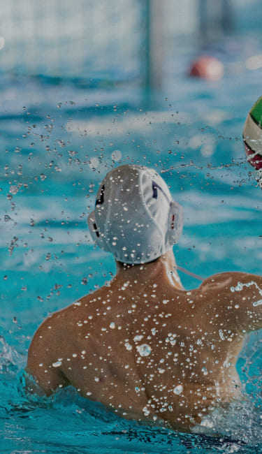 formacion header image